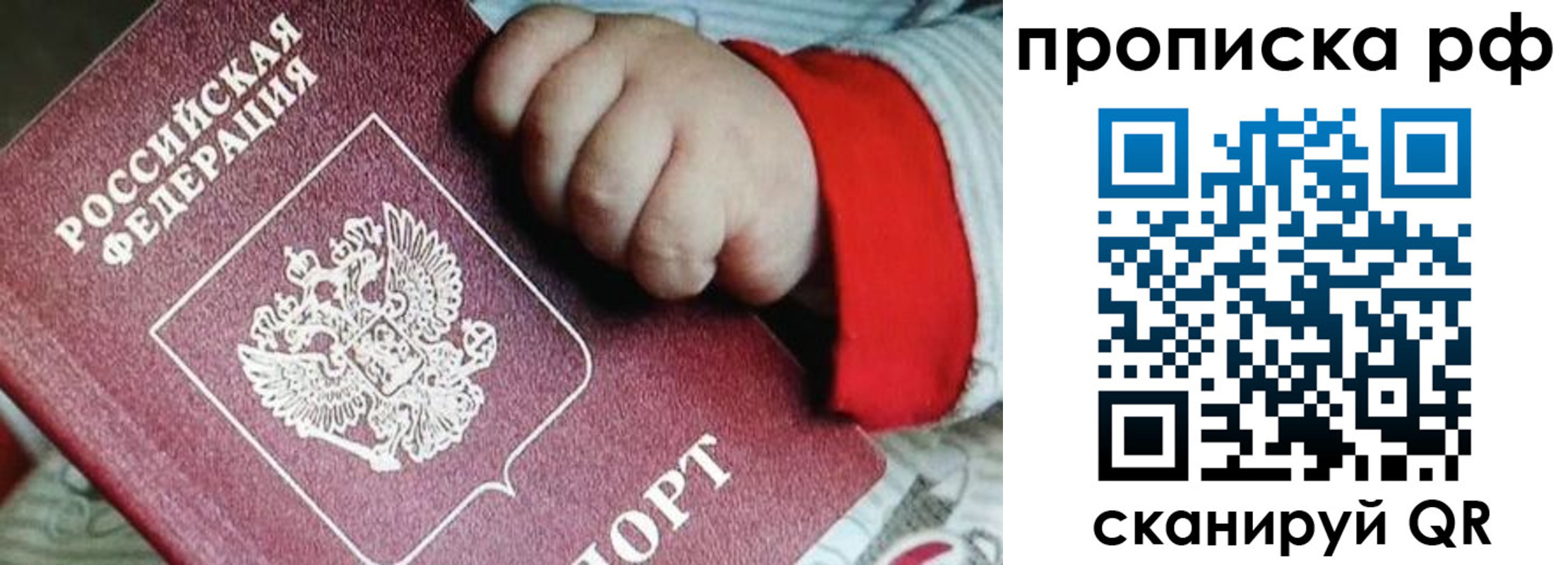 прописка для школы в Ногинске